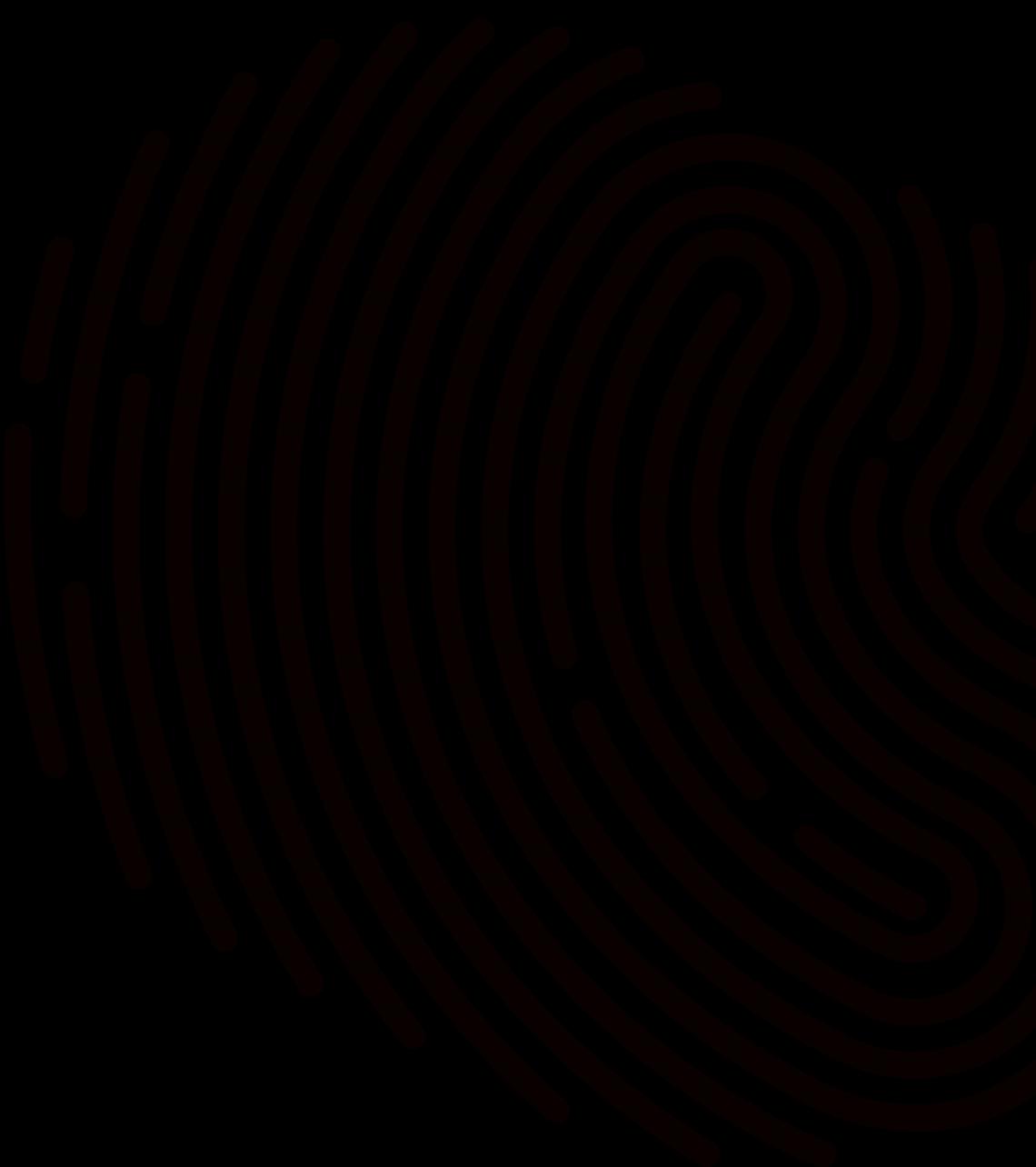 best plywood in hyderabad